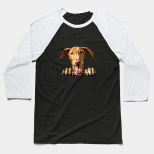 Podenco Dog Baseball T-Shirt